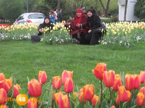 istanbul42500 (2).JPG